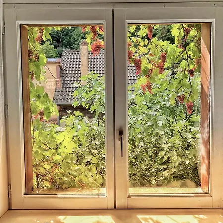 Chez L'alsacienne * Andlau-au-Val