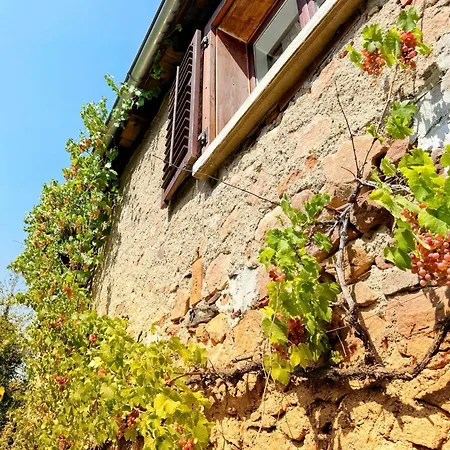 Chez L'alsacienne