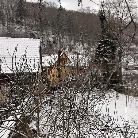 Chez L'alsacienne * Andlau-au-Val