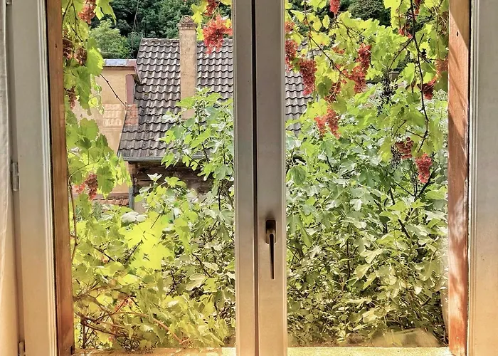 Chez L'alsacienne * Andlau-au-Val