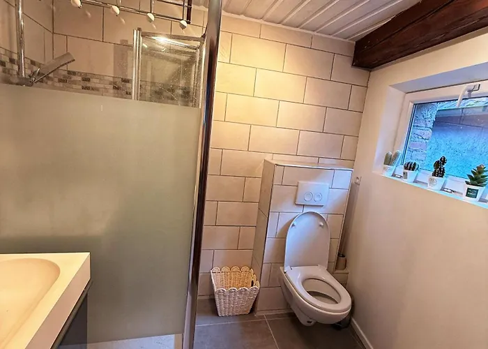 Chez L'alsacienne Apartman *