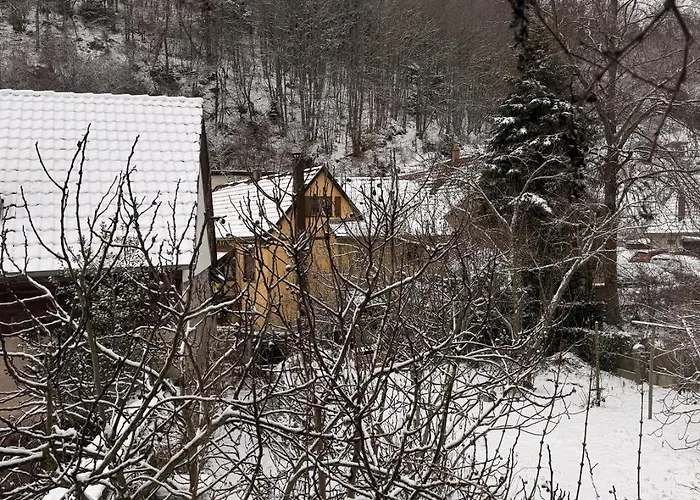 Chez L'alsacienne * Andlau-au-Val